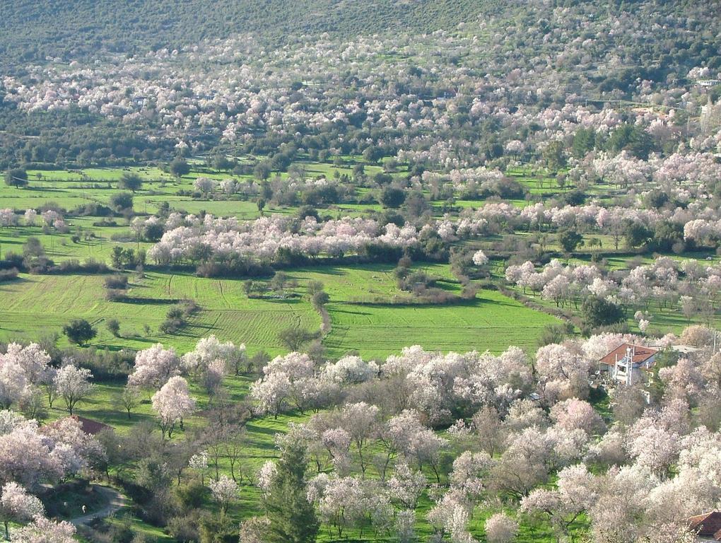 Eco-Art Farm Konuk evi Kaş Dış mekan fotoğraf