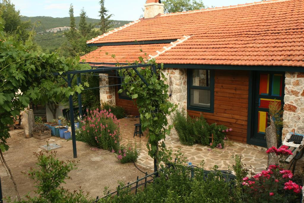 Eco-Art Farm Konuk evi Kaş Dış mekan fotoğraf