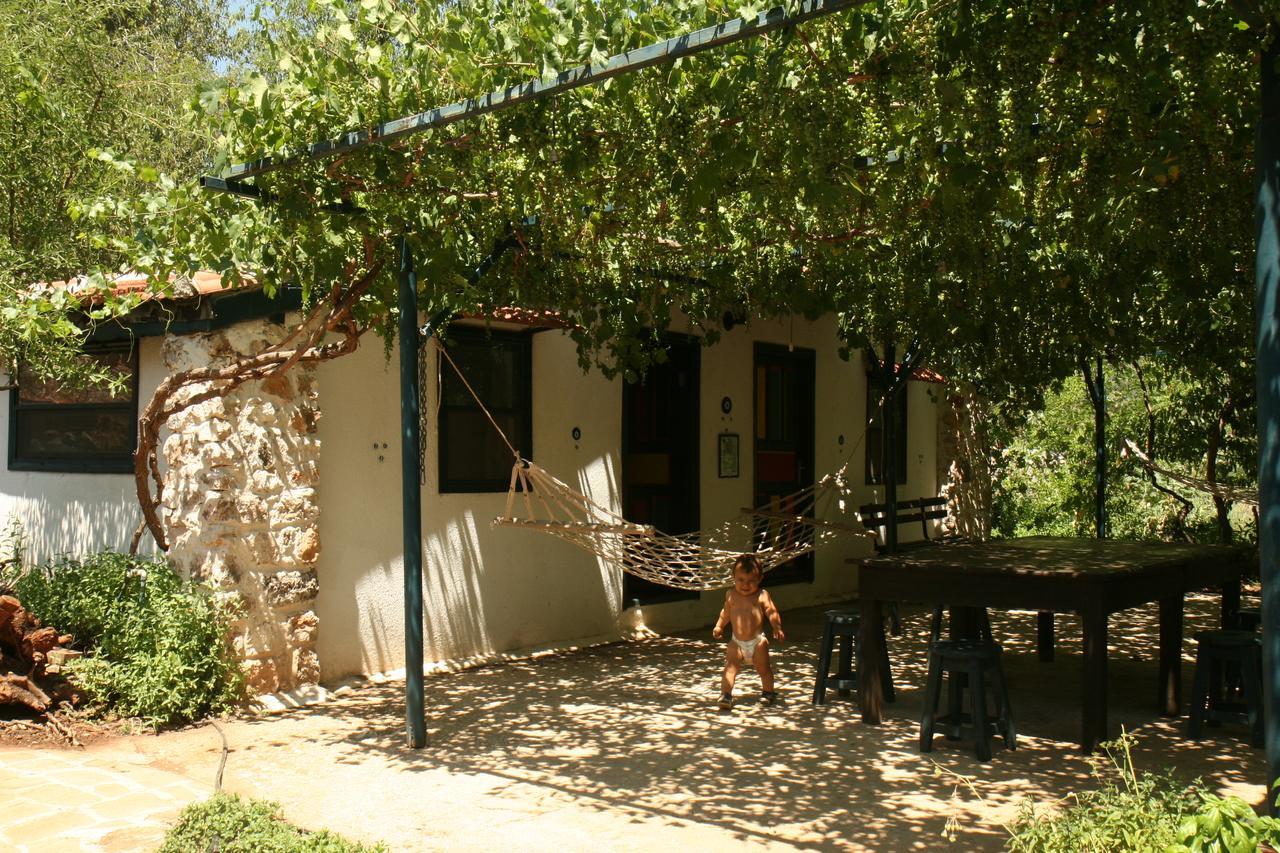 Eco-Art Farm Konuk evi Kaş Dış mekan fotoğraf